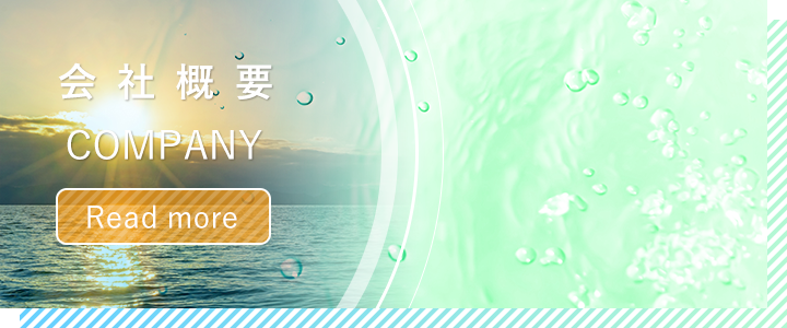 会社概要